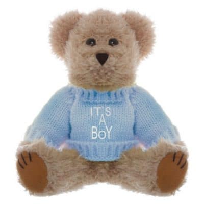 "It's a Boy" Bear